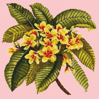 Frangipani Needlepoint Kit Kits Elizabeth Bradley Design Pale Rose 
