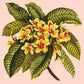 Frangipani Needlepoint Kit Kits Elizabeth Bradley Design Salmon Pink 
