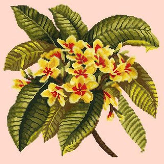 Frangipani Needlepoint Kit Kits Elizabeth Bradley Design Salmon Pink 
