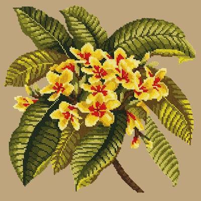 Frangipani Needlepoint Kit Kits Elizabeth Bradley Design Sand 