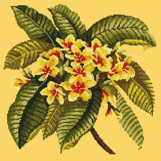 Frangipani Needlepoint Kit Kits Elizabeth Bradley Design Sunflower Yellow 
