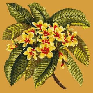 Frangipani Needlepoint Kit Kits Elizabeth Bradley Design Yellow 
