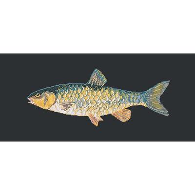 Freshwater Chub Needlepoint Kit Kits Elizabeth Bradley Design Black 