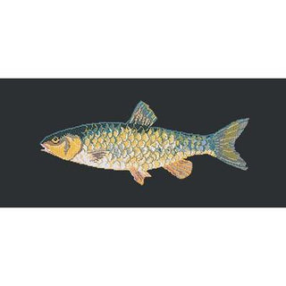 Freshwater Chub Needlepoint Kit Kits Elizabeth Bradley Design Black 
