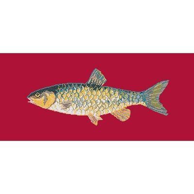 Freshwater Chub Needlepoint Kit Kits Elizabeth Bradley Design Bright Red 