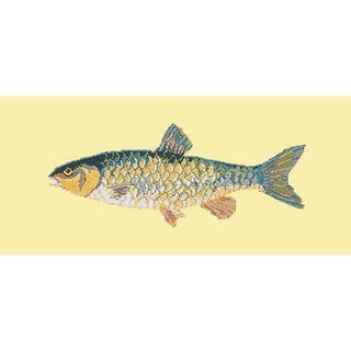 Freshwater Chub Needlepoint Kit Kits Elizabeth Bradley Design Butter Yellow 
