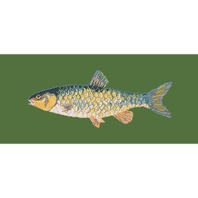 Freshwater Chub Needlepoint Kit Kits Elizabeth Bradley Design Dark Green 