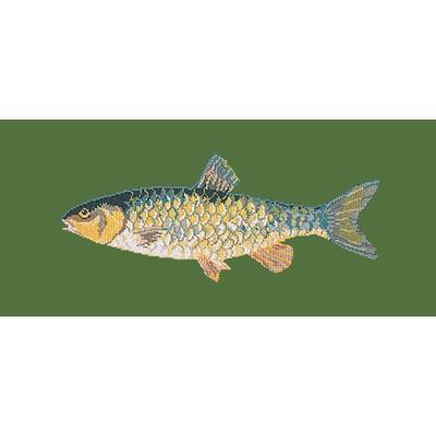 Freshwater Chub Needlepoint Kit Kits Elizabeth Bradley Design Dark Green 
