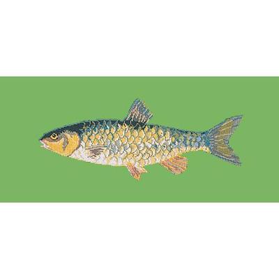 Freshwater Chub Needlepoint Kit Kits Elizabeth Bradley Design Grass Green 