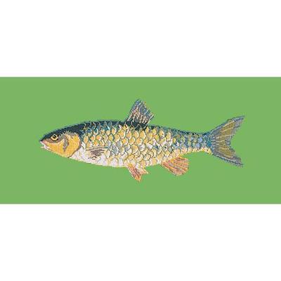 Freshwater Chub Needlepoint Kit Kits Elizabeth Bradley Design Grass Green 
