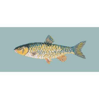 Freshwater Chub Needlepoint Kit Kits Elizabeth Bradley Design Pale Blue 

