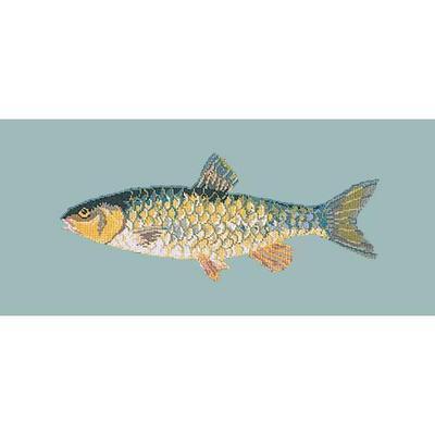 Freshwater Chub Needlepoint Kit Kits Elizabeth Bradley Design Pale Blue 
