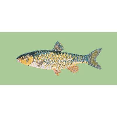 Freshwater Chub Needlepoint Kit Kits Elizabeth Bradley Design Pale Green 