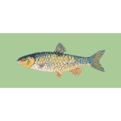 Freshwater Chub Needlepoint Kit Kits Elizabeth Bradley Design Pale Green 
