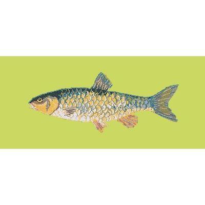 Freshwater Chub Needlepoint Kit Kits Elizabeth Bradley Design Pale Lime 