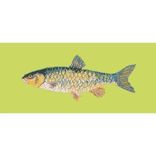 Freshwater Chub Needlepoint Kit Kits Elizabeth Bradley Design Pale Lime 
