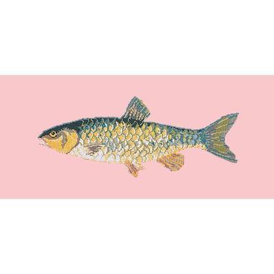 Freshwater Chub Needlepoint Kit Kits Elizabeth Bradley Design Pale Rose 