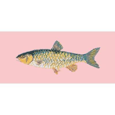 Freshwater Chub Needlepoint Kit Kits Elizabeth Bradley Design Pale Rose 
