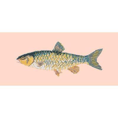 Freshwater Chub Needlepoint Kit Kits Elizabeth Bradley Design Salmon Pink 