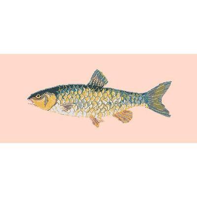 Freshwater Chub Needlepoint Kit Kits Elizabeth Bradley Design Salmon Pink 

