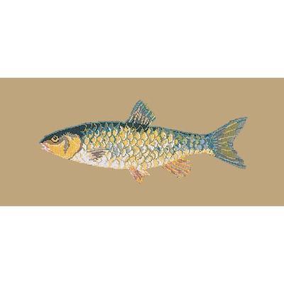 Freshwater Chub Needlepoint Kit Kits Elizabeth Bradley Design Sand 