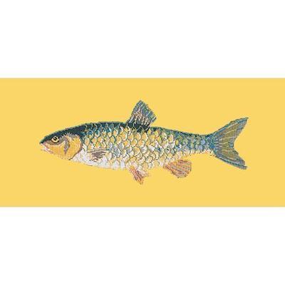 Freshwater Chub Needlepoint Kit Kits Elizabeth Bradley Design Sunflower Yellow 