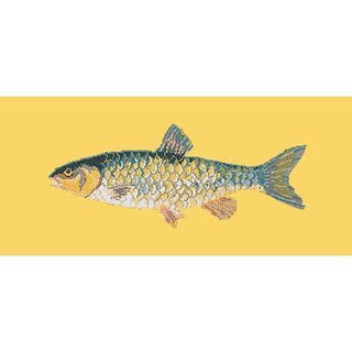 Freshwater Chub Needlepoint Kit Kits Elizabeth Bradley Design Sunflower Yellow 
