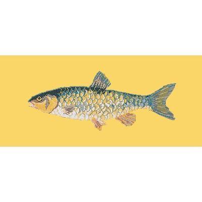 Freshwater Chub Needlepoint Kit Kits Elizabeth Bradley Design Sunflower Yellow 
