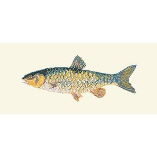 Freshwater Chub Needlepoint Kit Kits Elizabeth Bradley Design Winter White 
