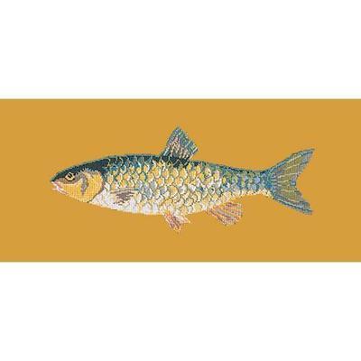 Freshwater Chub Needlepoint Kit Kits Elizabeth Bradley Design Yellow 
