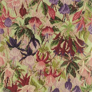 Fuchsia Trellis Needlepoint Kit Kits Elizabeth Bradley Design Sand 
