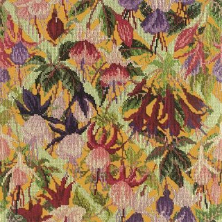 Fuchsia Trellis Needlepoint Kit Kits Elizabeth Bradley Design Yellow 
