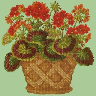 Geranium Pot Needlepoint Kit Kits Elizabeth Bradley Design Pale Green 
