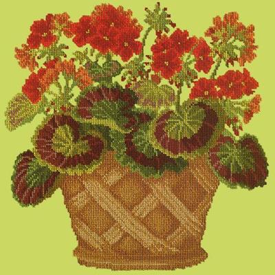 Geranium Pot Needlepoint Kit Kits Elizabeth Bradley Design Pale Lime 
