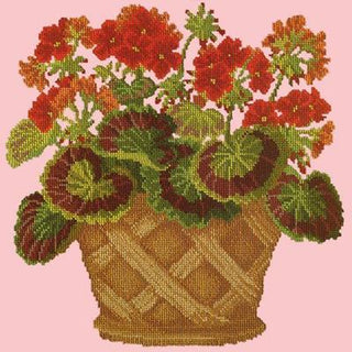 Geranium Pot Needlepoint Kit Kits Elizabeth Bradley Design Pale Rose 
