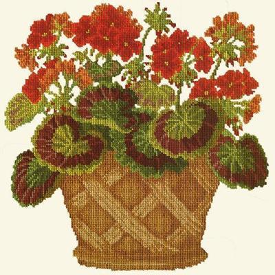 Geranium Pot Needlepoint Kit Kits Elizabeth Bradley Design Winter White 
