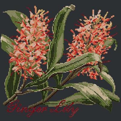 Ginger Lily Needlepoint Kit Kits Elizabeth Bradley Design Black 