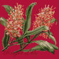 Ginger Lily Needlepoint Kit Kits Elizabeth Bradley Design Bright Red 