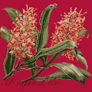 Ginger Lily Needlepoint Kit Kits Elizabeth Bradley Design Bright Red 
