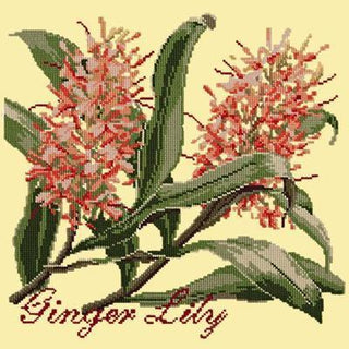 Ginger Lily Needlepoint Kit Kits Elizabeth Bradley Design Butter Yellow 
