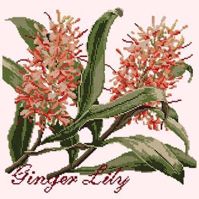 Ginger Lily Needlepoint Kit Kits Elizabeth Bradley Design Cream 