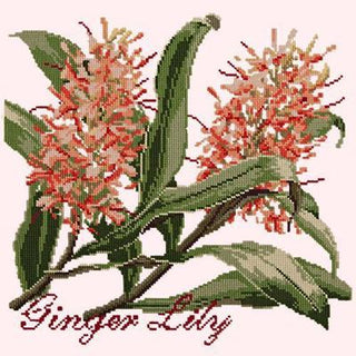 Ginger Lily Needlepoint Kit Kits Elizabeth Bradley Design Cream 
