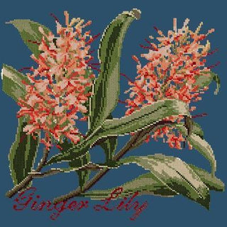 Ginger Lily Needlepoint Kit Kits Elizabeth Bradley Design Dark Blue 
