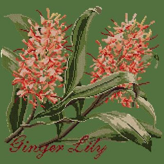 Ginger Lily Needlepoint Kit Kits Elizabeth Bradley Design Dark Green 
