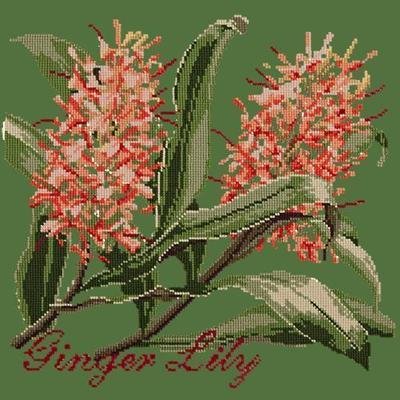 Ginger Lily Needlepoint Kit Kits Elizabeth Bradley Design Dark Green 
