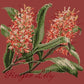 Ginger Lily Needlepoint Kit Kits Elizabeth Bradley Design Dark Red 