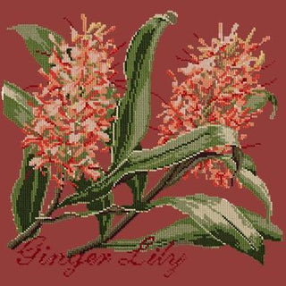 Ginger Lily Needlepoint Kit Kits Elizabeth Bradley Design Dark Red 

