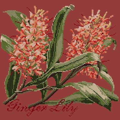 Ginger Lily Needlepoint Kit Kits Elizabeth Bradley Design Dark Red 
