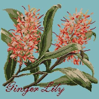 Ginger Lily Needlepoint Kit Kits Elizabeth Bradley Design Duck Egg Blue 
