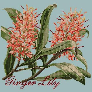 Ginger Lily Needlepoint Kit Kits Elizabeth Bradley Design Pale Blue 
